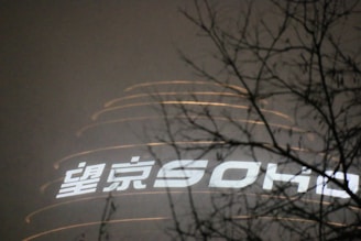 A building with illuminated signage reading 'SOHO' and some Chinese characters is visible against a hazy night sky. Leafless tree branches partially obscure the view, casting dark silhouettes against the brightly lit text.