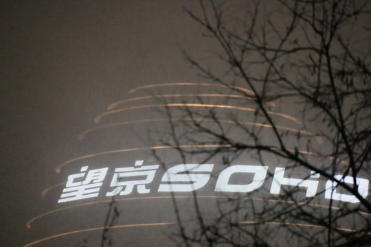 A building with illuminated signage reading 'SOHO' and some Chinese characters is visible against a hazy night sky. Leafless tree branches partially obscure the view, casting dark silhouettes against the brightly lit text.
