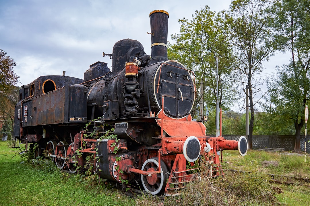 black and orange train on green grass field during daytime