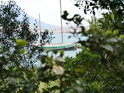 blue and white boat on body of water near green trees during daytime