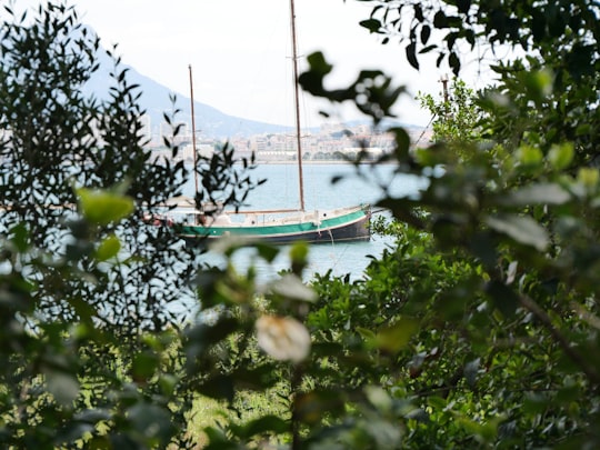 blue and white boat on body of water near green trees during daytime in La Seyne-sur-Mer France