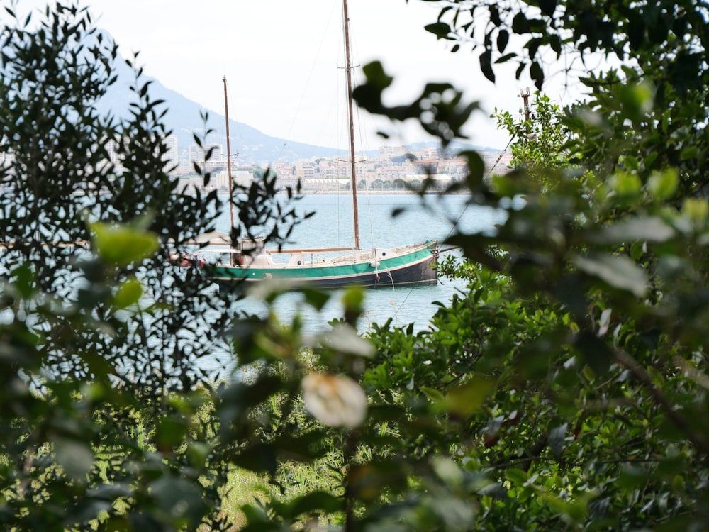 blue and white boat on body of water near green trees during daytime