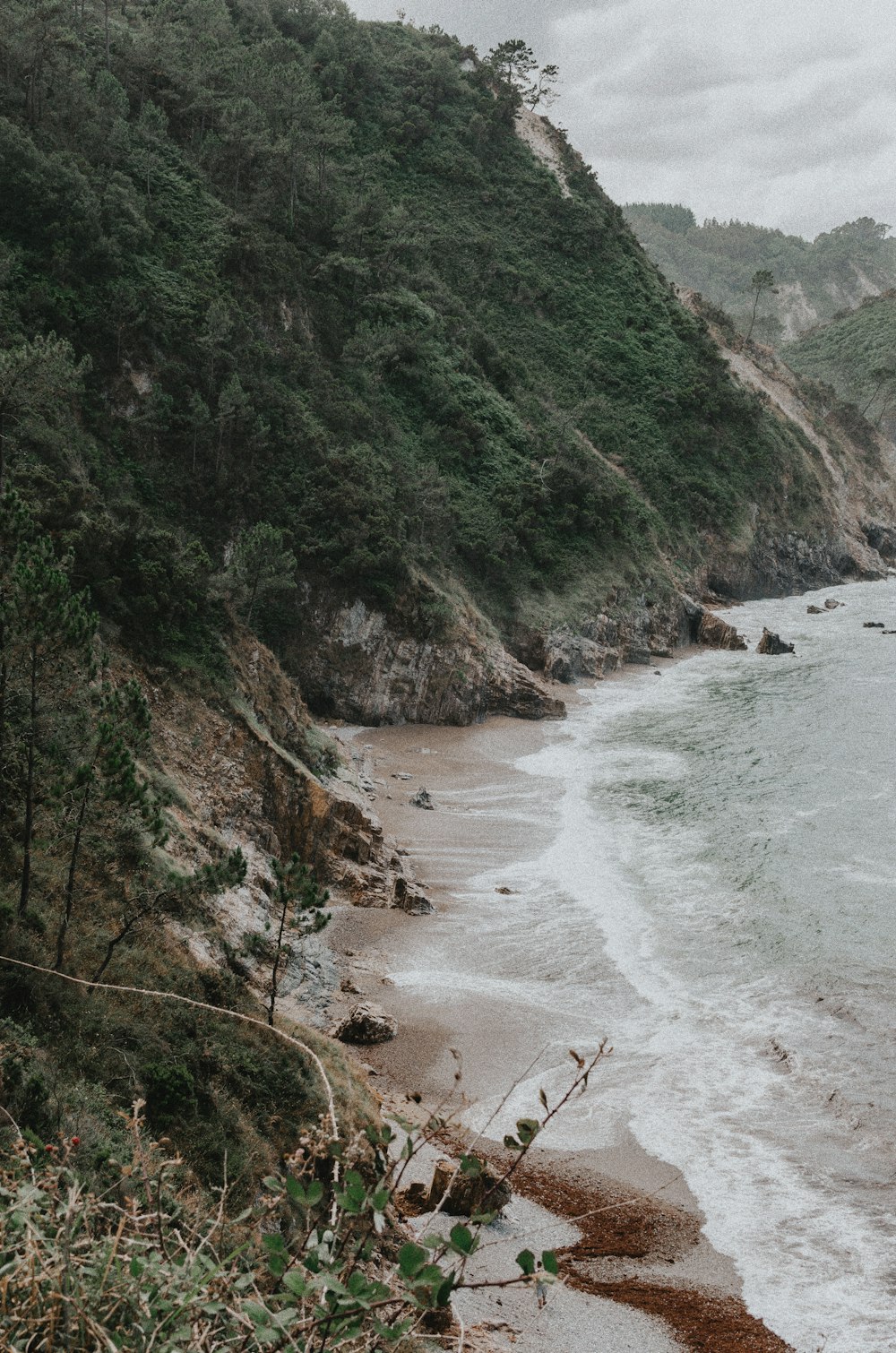 people on beach during daytime