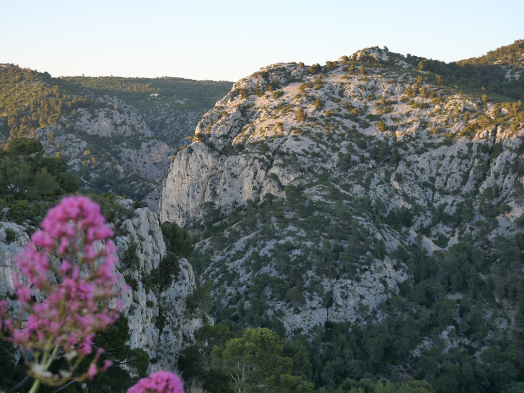 Nature reserve photo spot Ollioules Volx