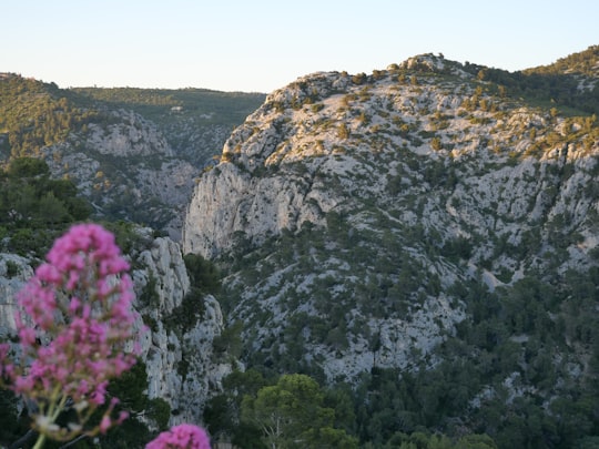 green and brown mountain under white sky during daytime in Ollioules France