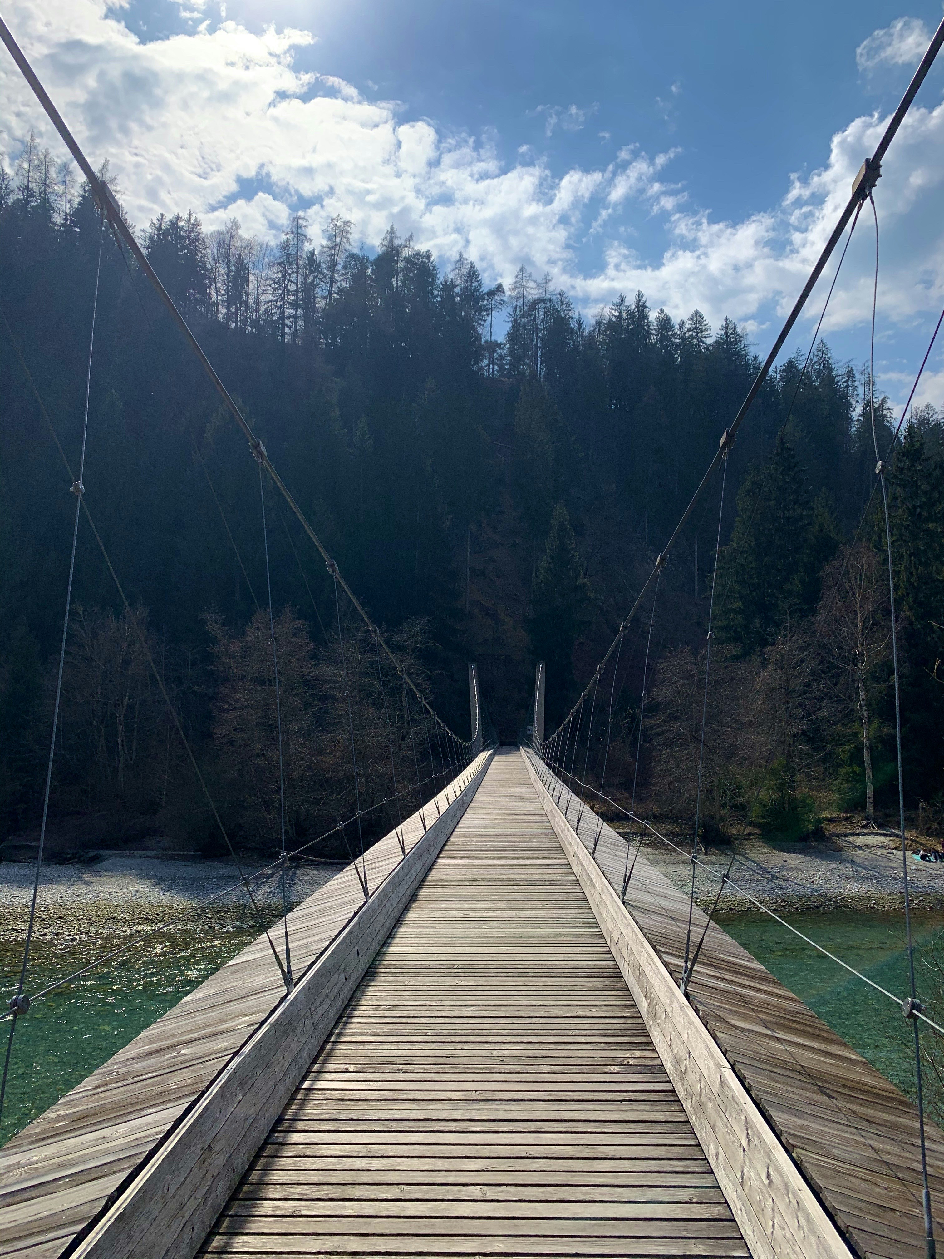 brown wooden bridge over green grass field near green trees during daytime