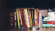 A wooden bookshelf is filled with a variety of books standing upright. Titles include well-known novels and non-fiction, such as 'The Lord of the Rings', 'Sapiens', and several 'Harry Potter' books. A white mug with pens and a decorative turtle figure is also on the shelf. The scene is well-organized, suggesting an interest in literature and writing tools.