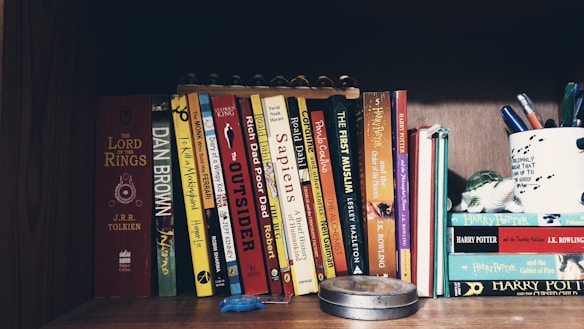 A wooden bookshelf is filled with a variety of books standing upright. Titles include well-known novels and non-fiction, such as 'The Lord of the Rings', 'Sapiens', and several 'Harry Potter' books. A white mug with pens and a decorative turtle figure is also on the shelf. The scene is well-organized, suggesting an interest in literature and writing tools.