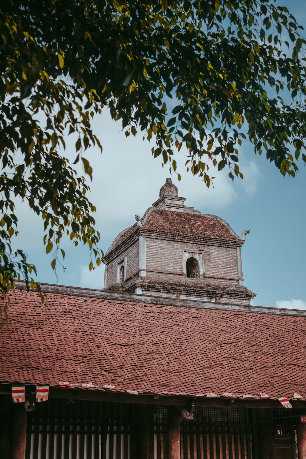 brown brick building near green tree during daytime