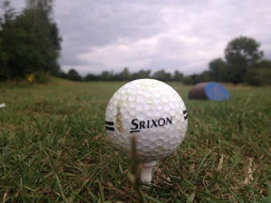 Close-up of a custom golf tee and ball resting on lush green grass under a bright sky.