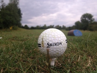 Close-up of a sleek Taylormade driver resting on freshly cut green grass under a clear sky.