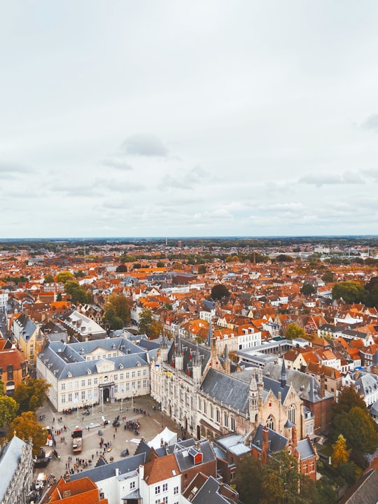 aerial view of city buildings during daytime in Belfry of Bruges Belgium