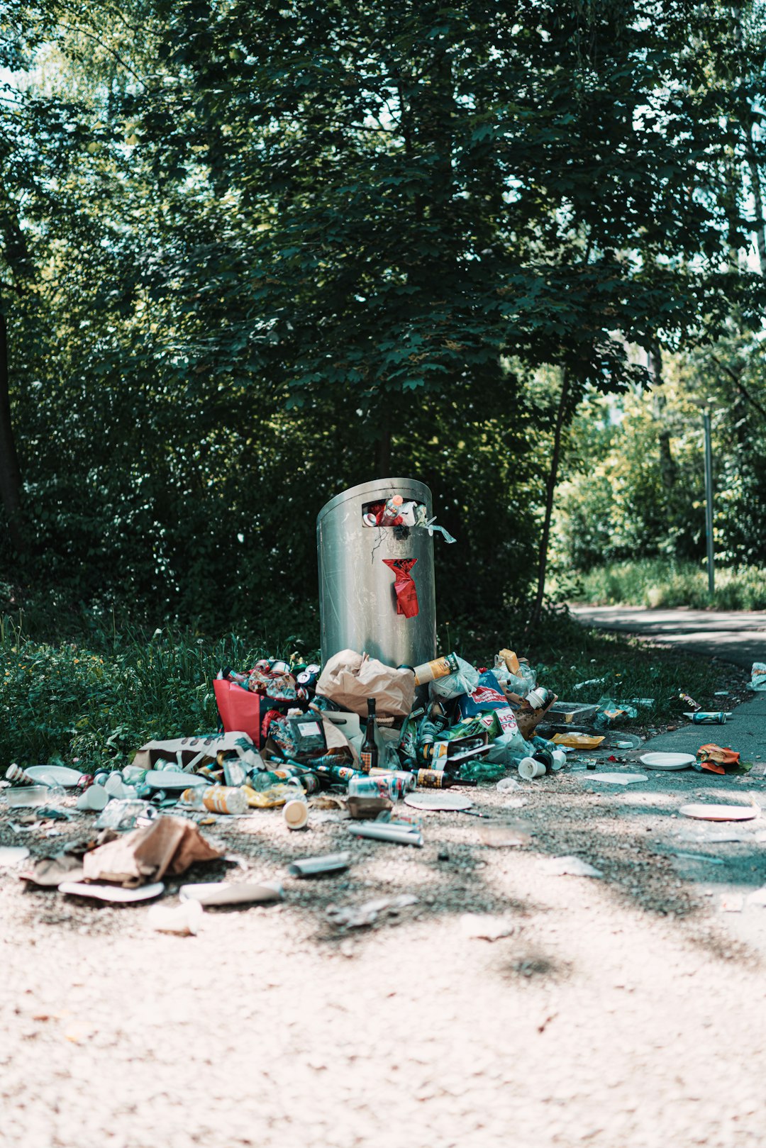 garbage bin near green trees during daytime