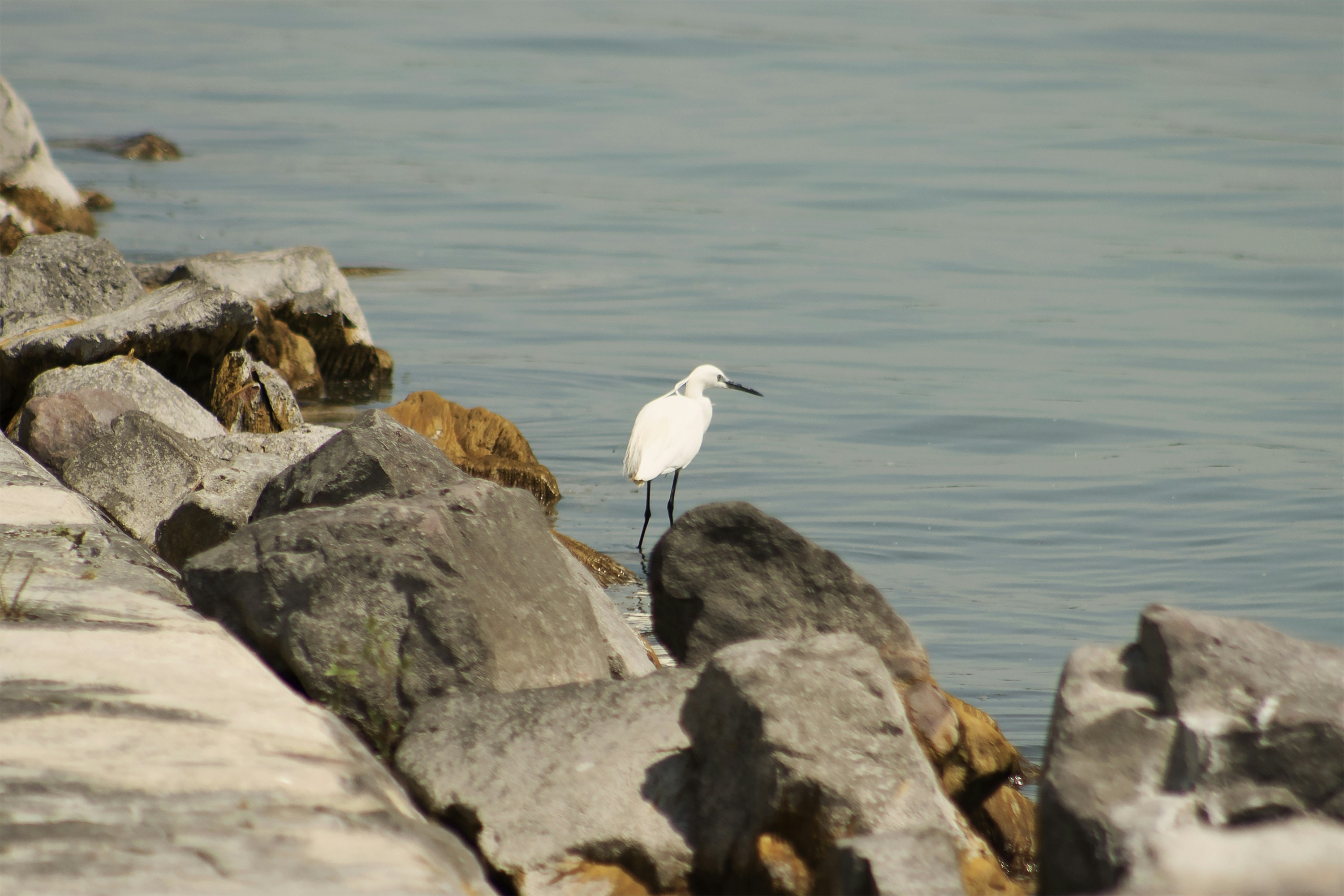 Photo by glatz0