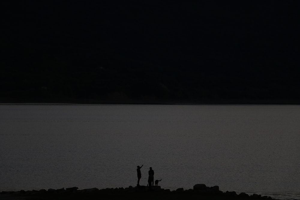 silhouette of 2 person standing on rock formation near body of water during daytime