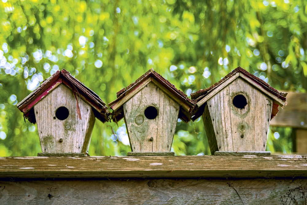 昼間の緑の芝生の上の茶色の木製の鳥の家