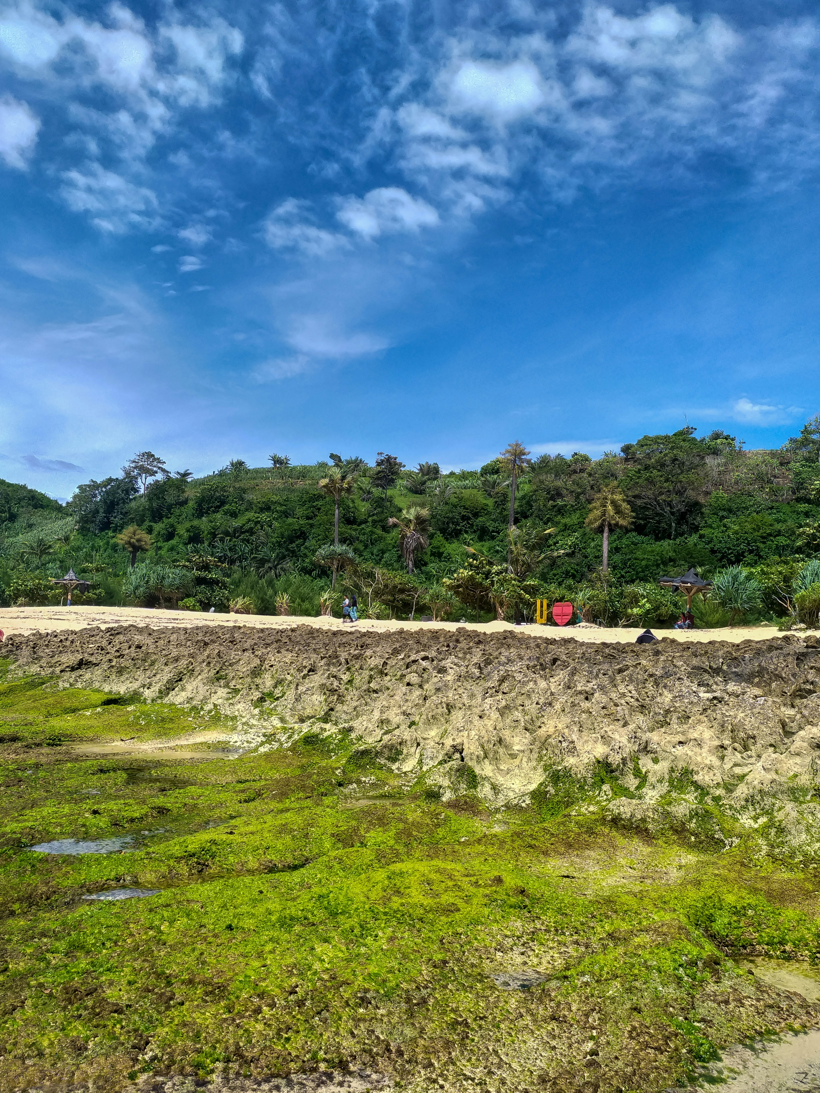 Depth Matters: Vertical Microbial Zonation (image credits: unsplash)