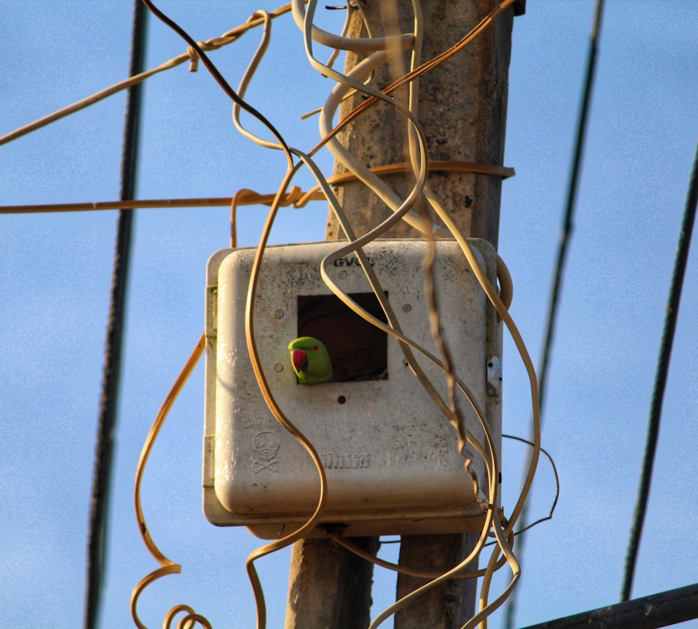 Interruttore elettrico bianco sulla recinzione in acciaio grigio durante il giorno
