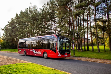 red bus on road near trees during daytime