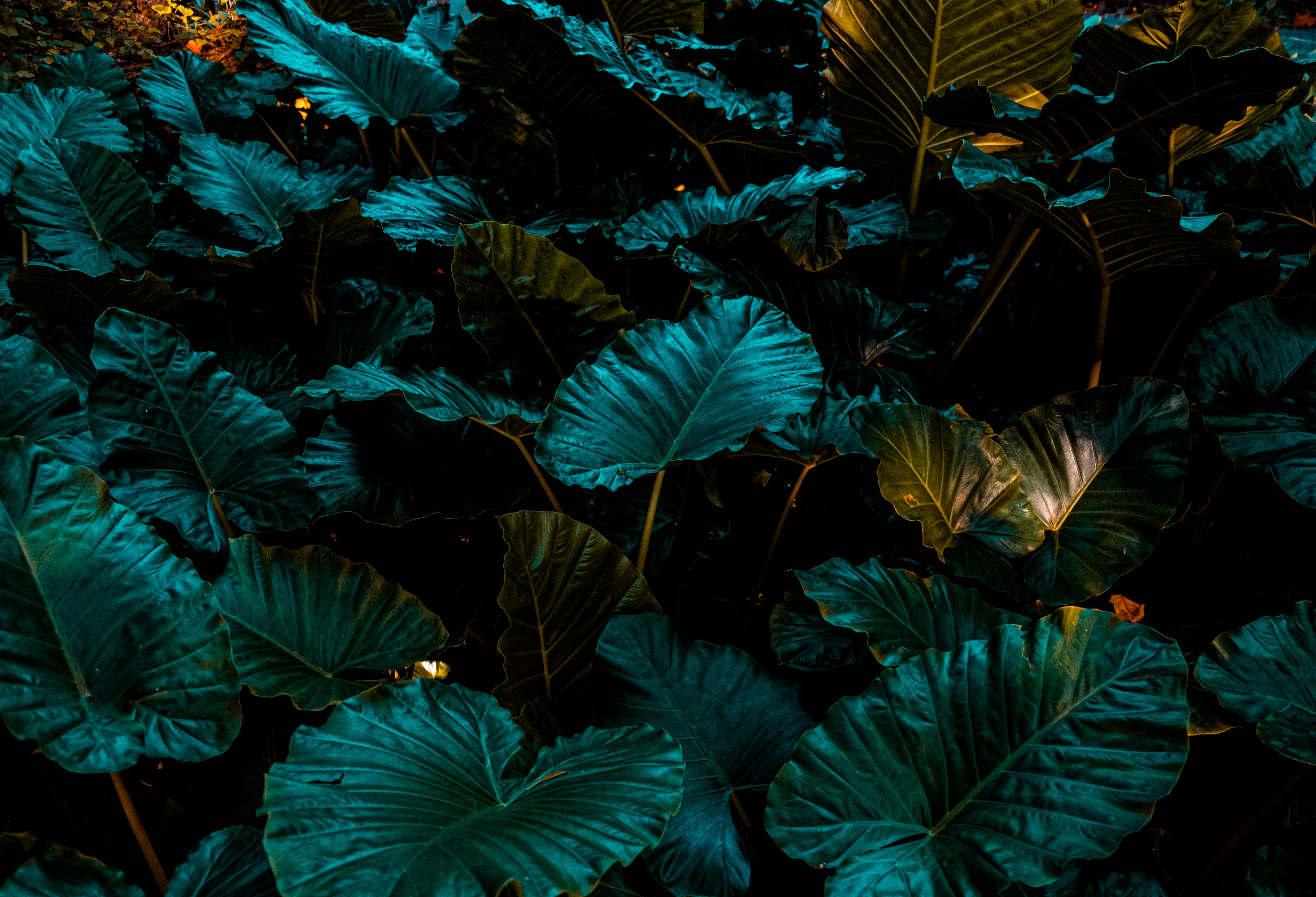 Photo by mo_design_3d