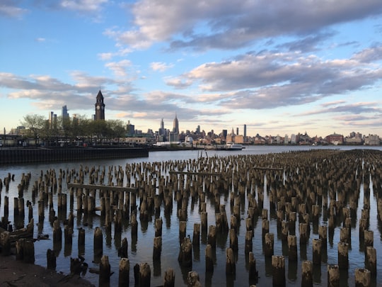 people on dock during daytime in Hudson River United States