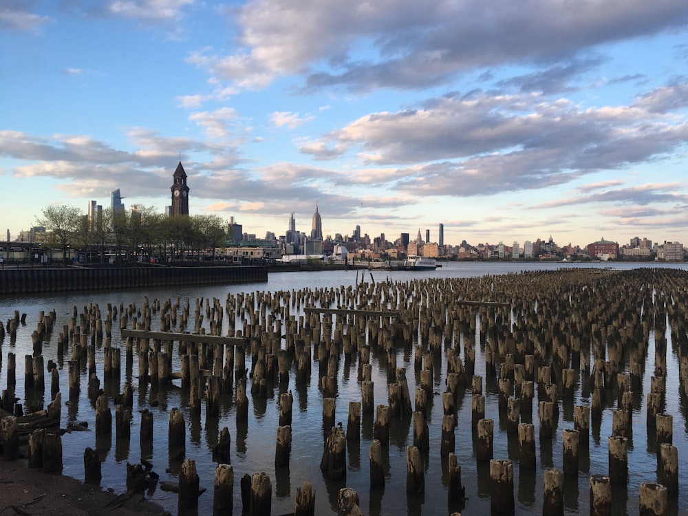 people on dock during daytime