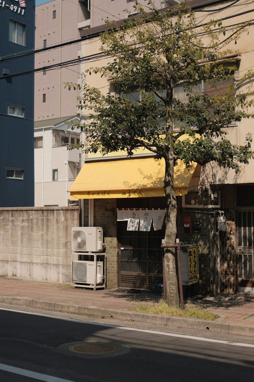 green tree beside blue and white concrete building during daytime