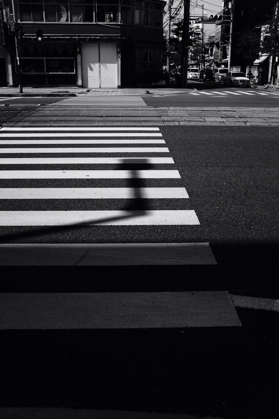 grayscale photo of pedestrian line