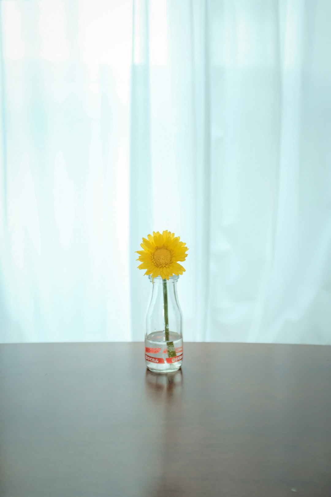 yellow sunflower in clear glass bottle on brown wooden table