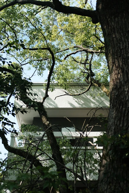 An outdoor shot of the agency’s office building nestled among tall trees, capturing the natural vibe of Balet Woods.