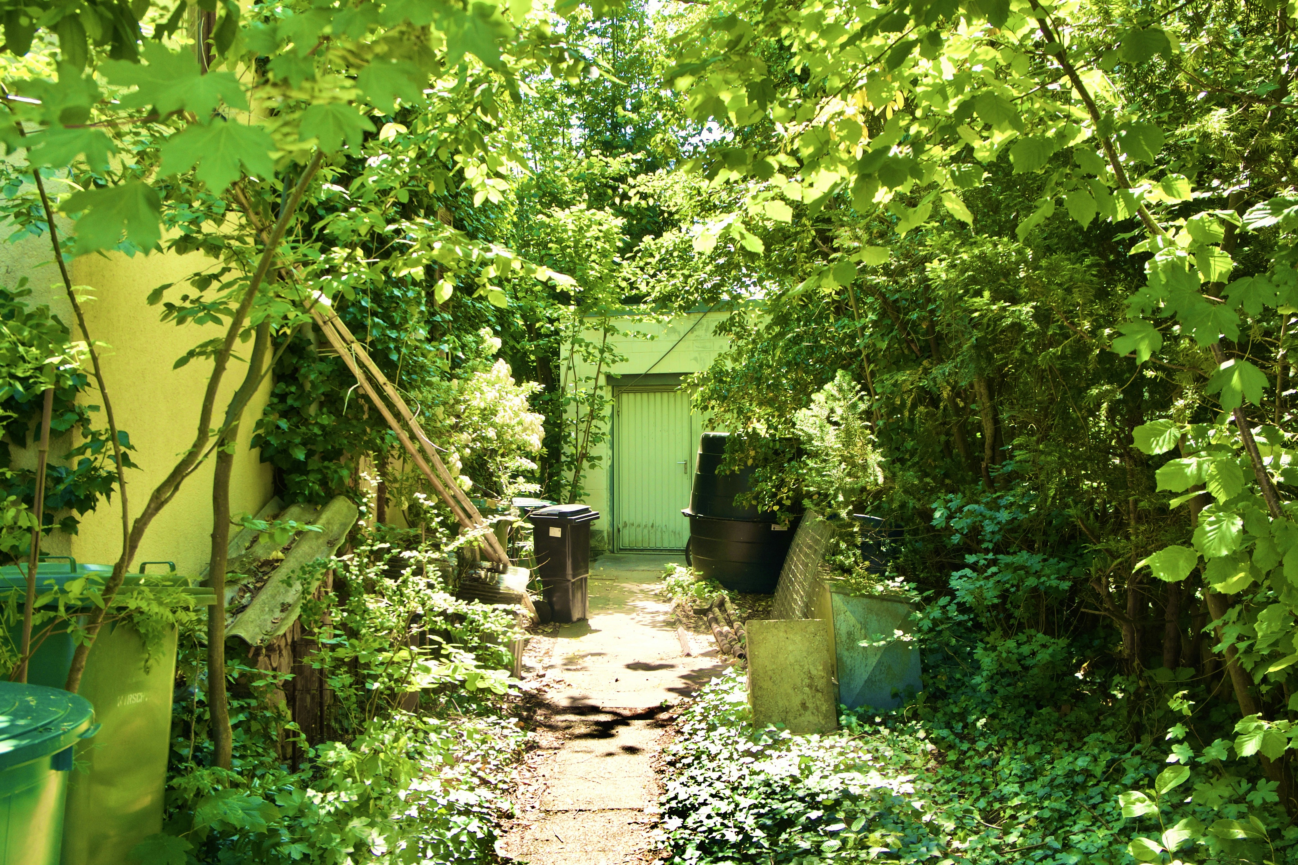 gardens