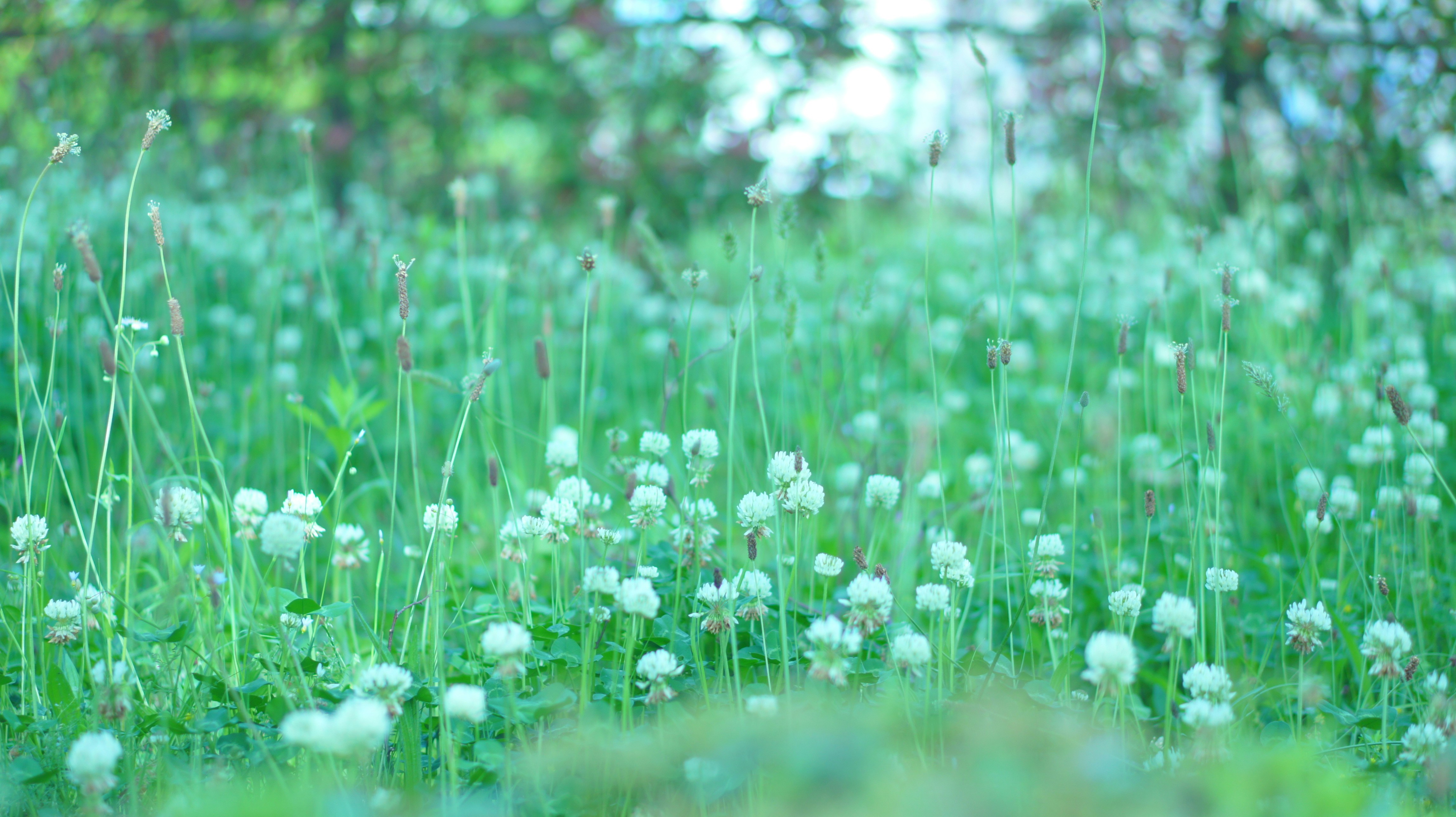 Photo by kiyomishiomura