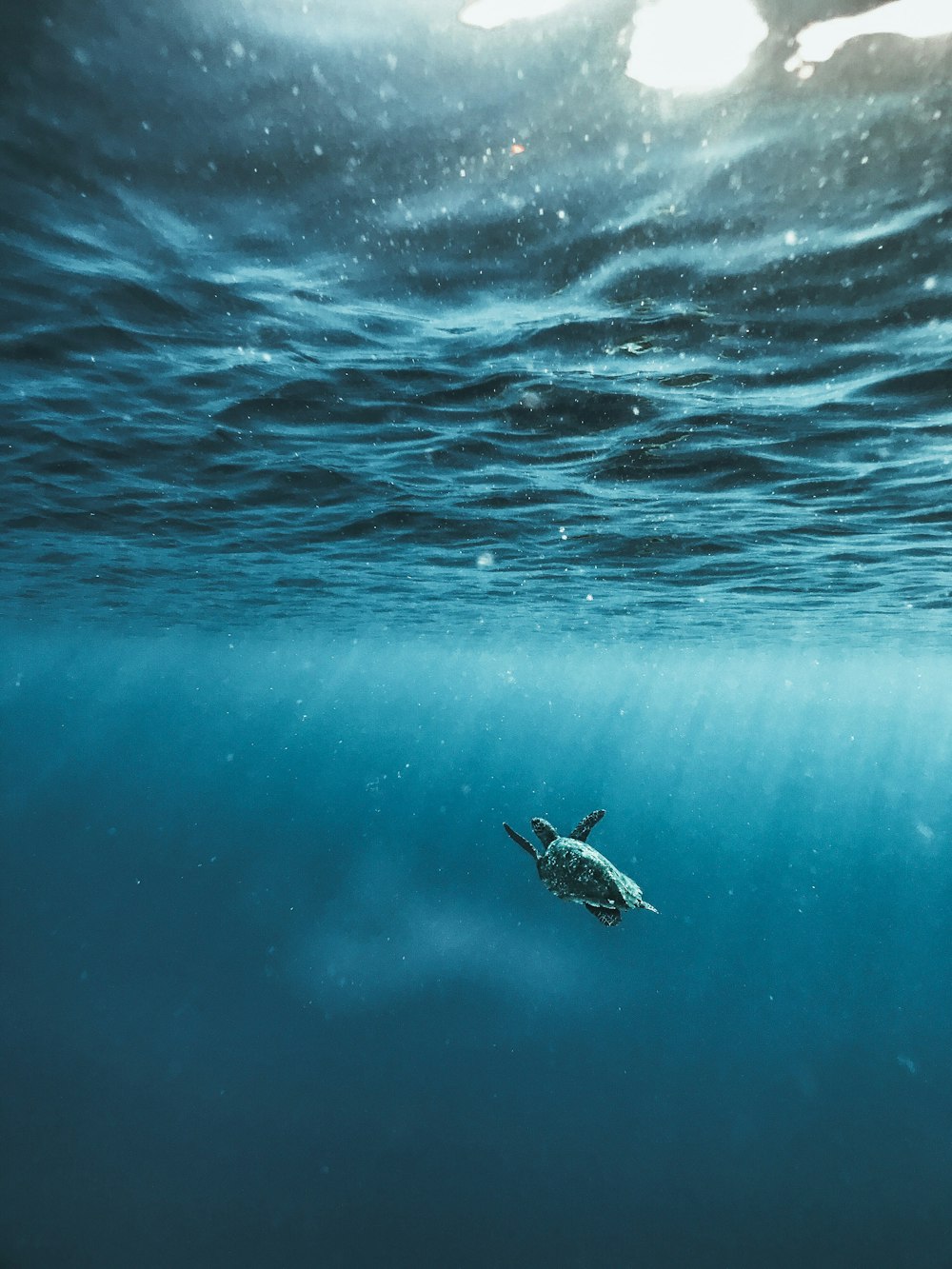 Featured image of post Underwater Dark Water Wallpaper Beautiful underwater hd wallpapers download free