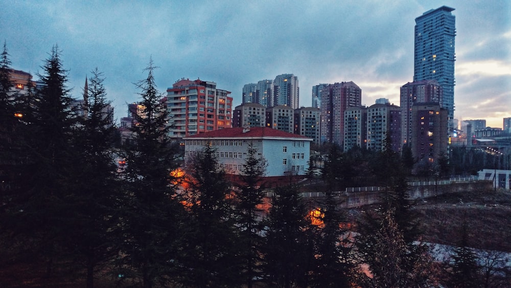 high rise buildings near trees under gray sky