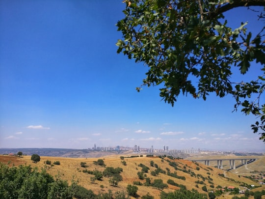 photo of Yeşilkent Plain near Ankara