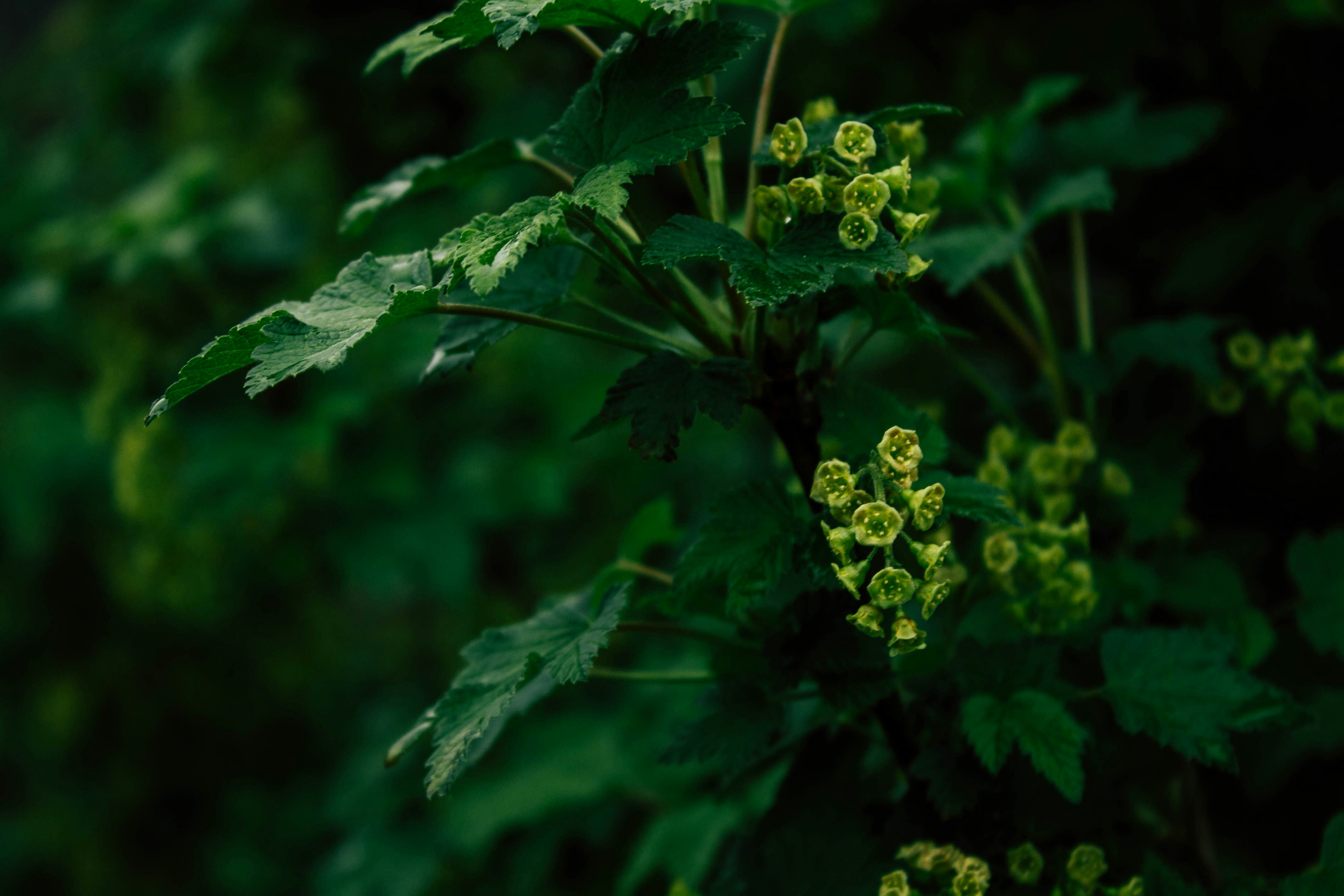 Photo by belyakovph