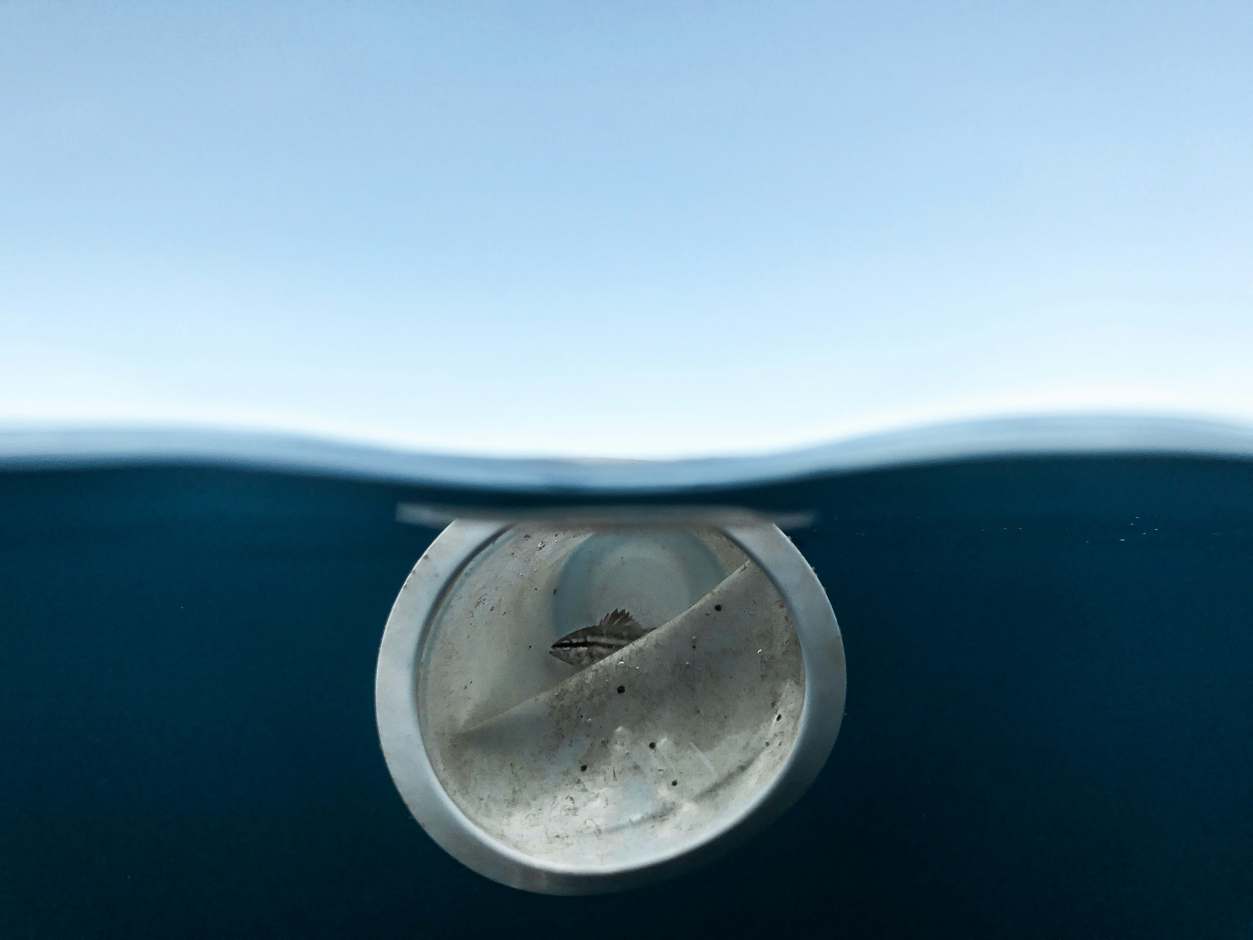 Photo by naja_bertolt_jensen