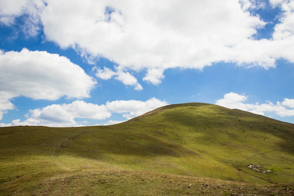 green grass field under blue sky and white clouds during daytime