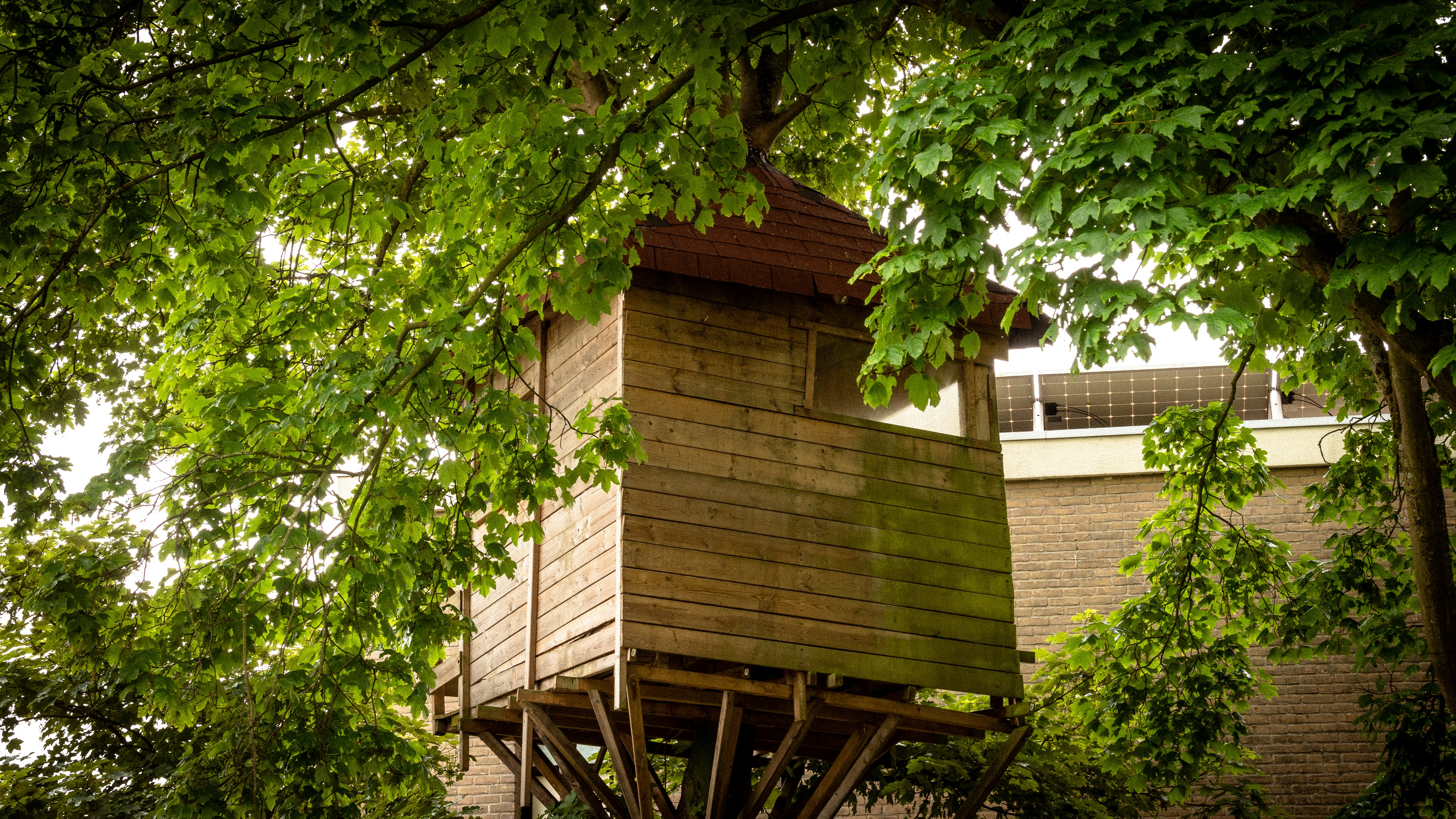 Photo by seifeddine_dridi