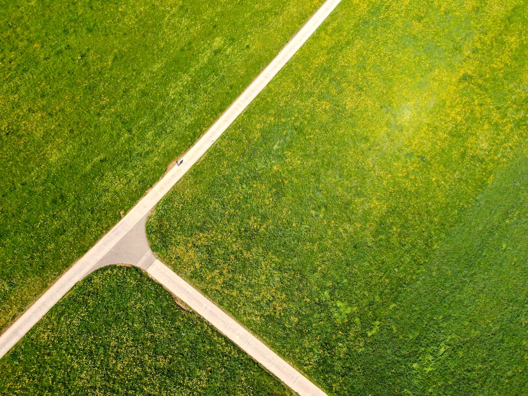 white metal bar on green grass field