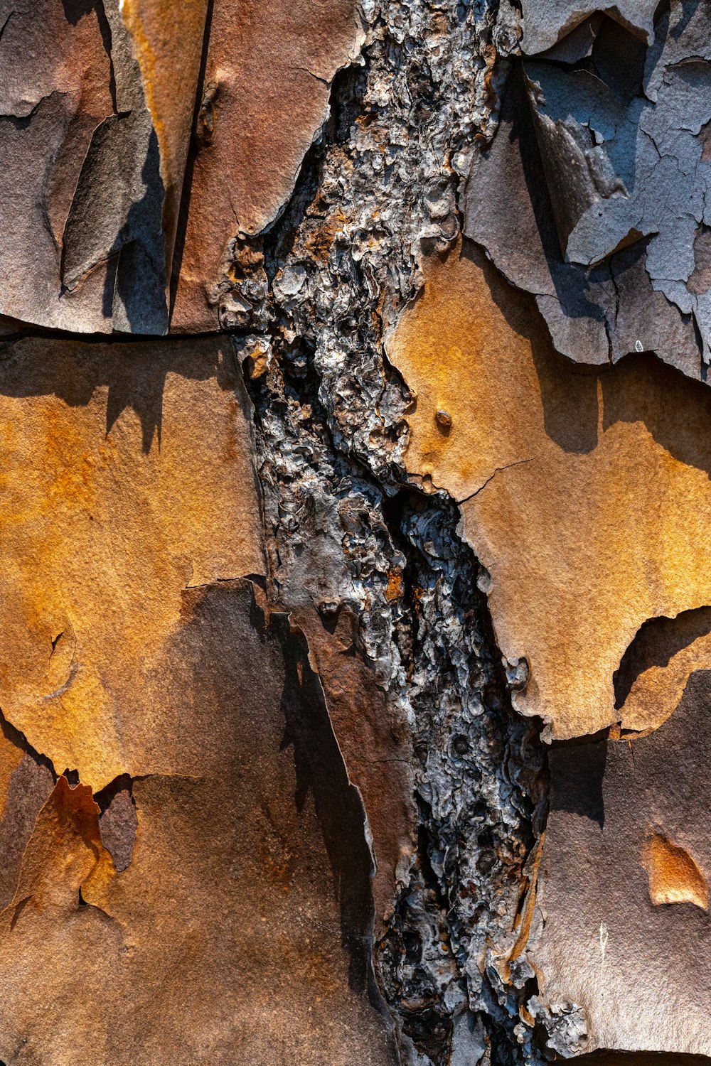 brown and black wood log