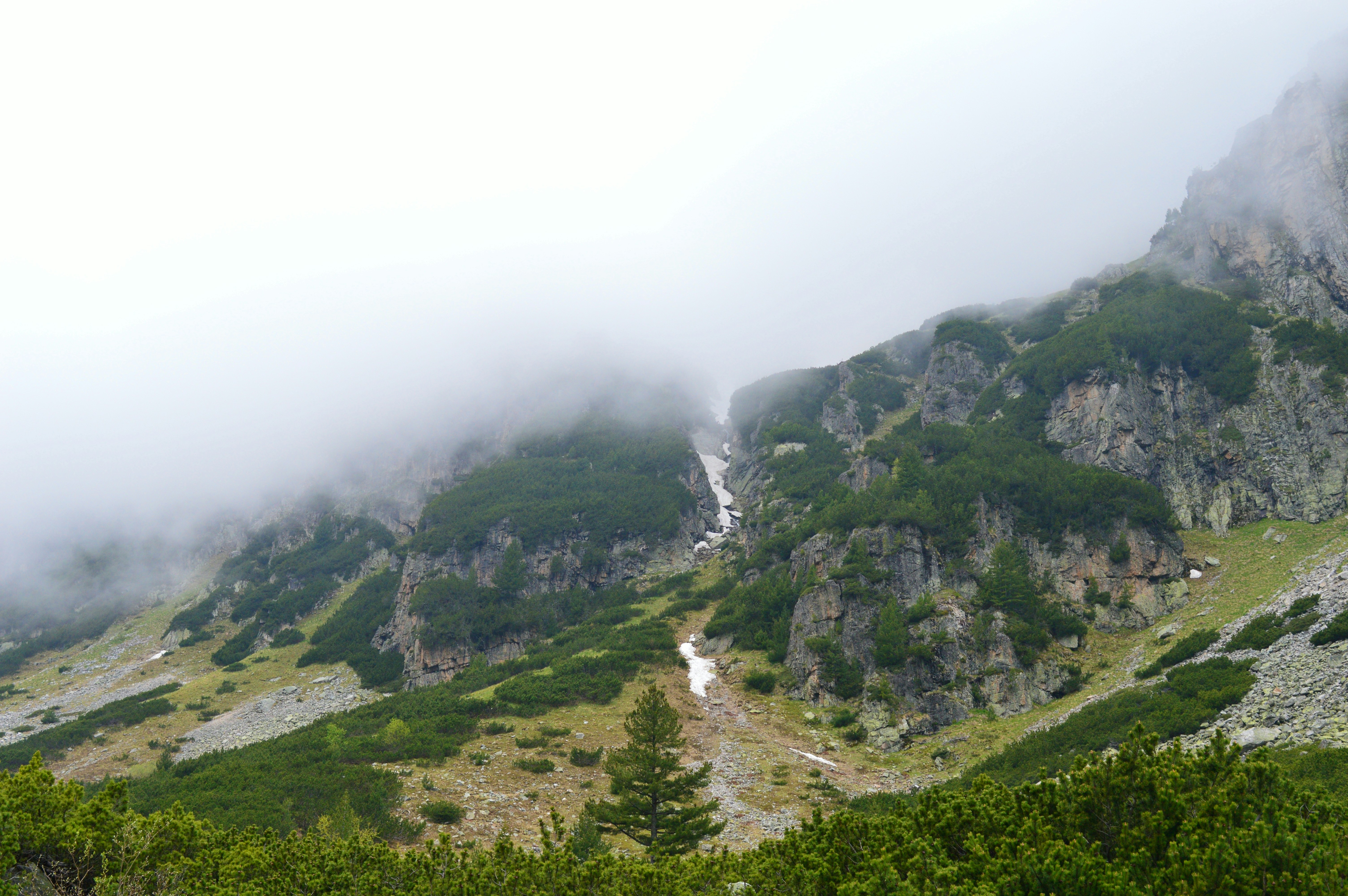 green grass covered mountain under white sky during daytime