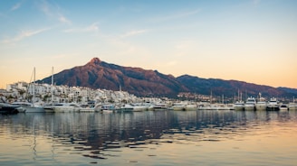 white boats on sea near mountain during daytime