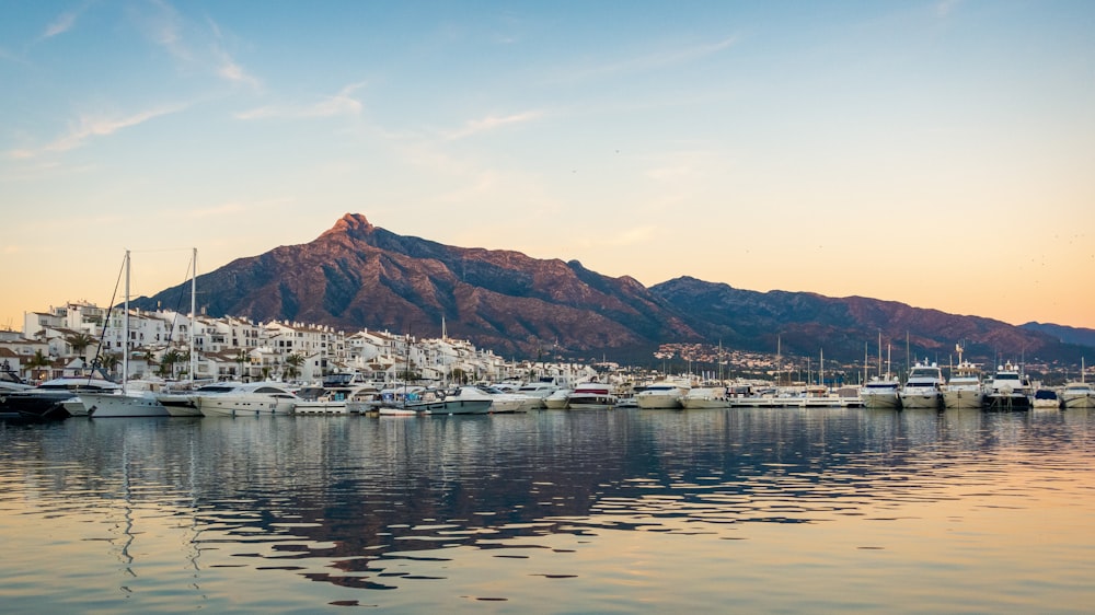 white boats on sea near mountain during daytime