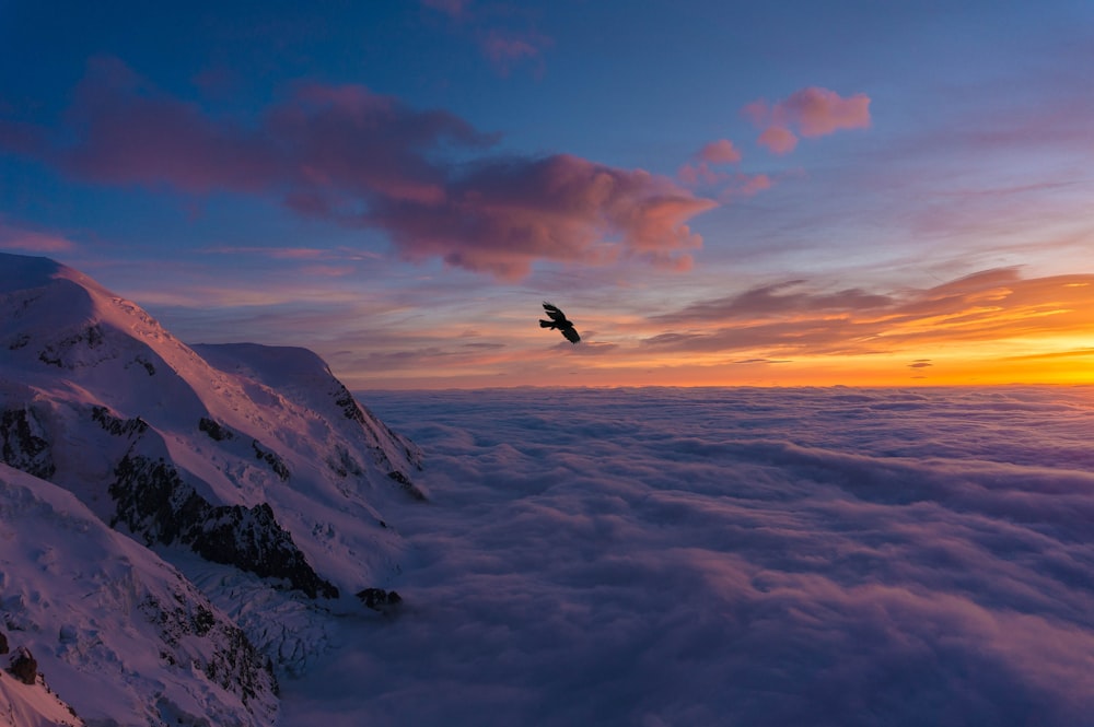 uccello che vola sopra la montagna coperta di neve durante il giorno