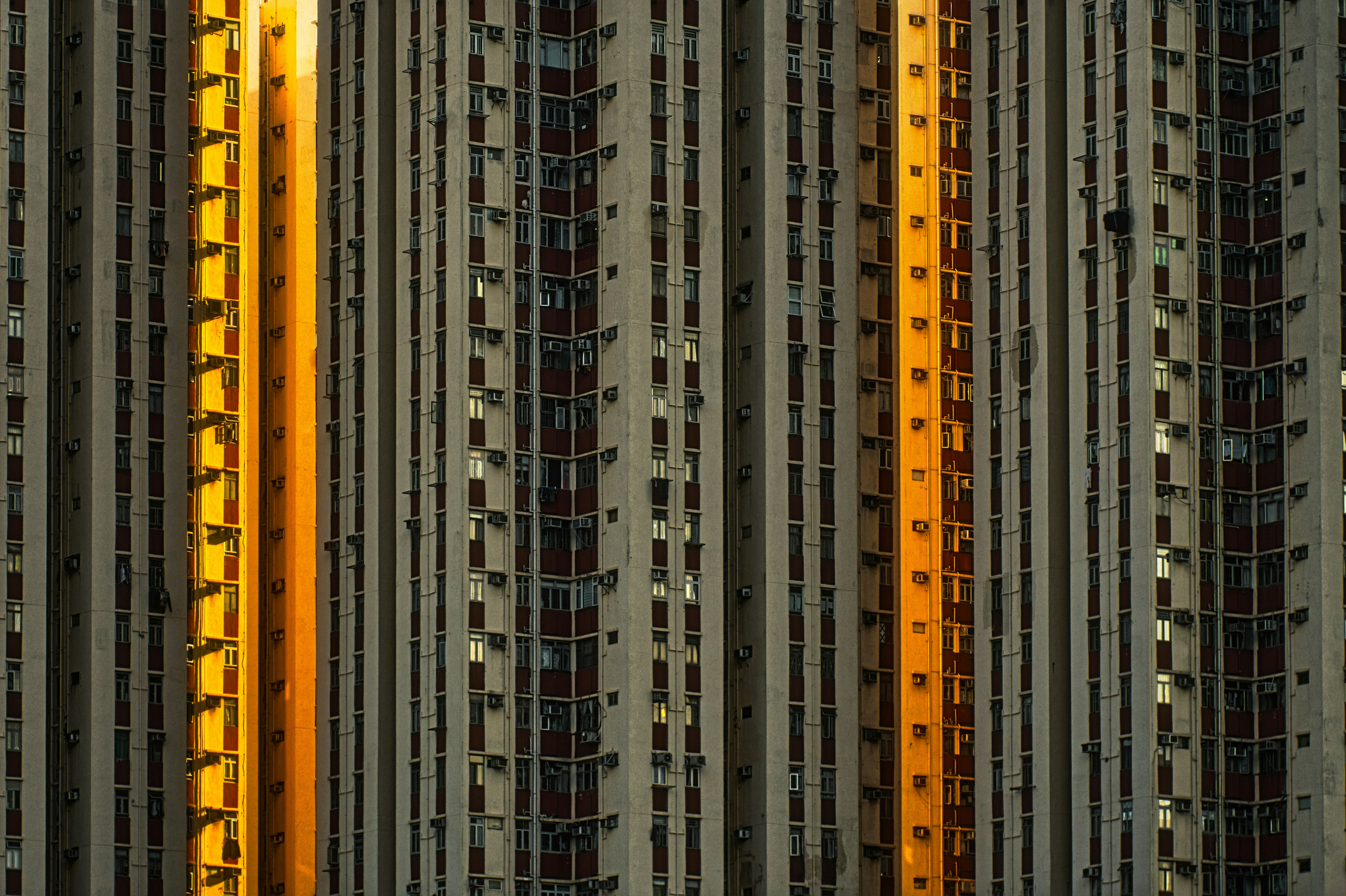 Fights Erupt During ‘Jews for Trump’ Rally in Manhattan 