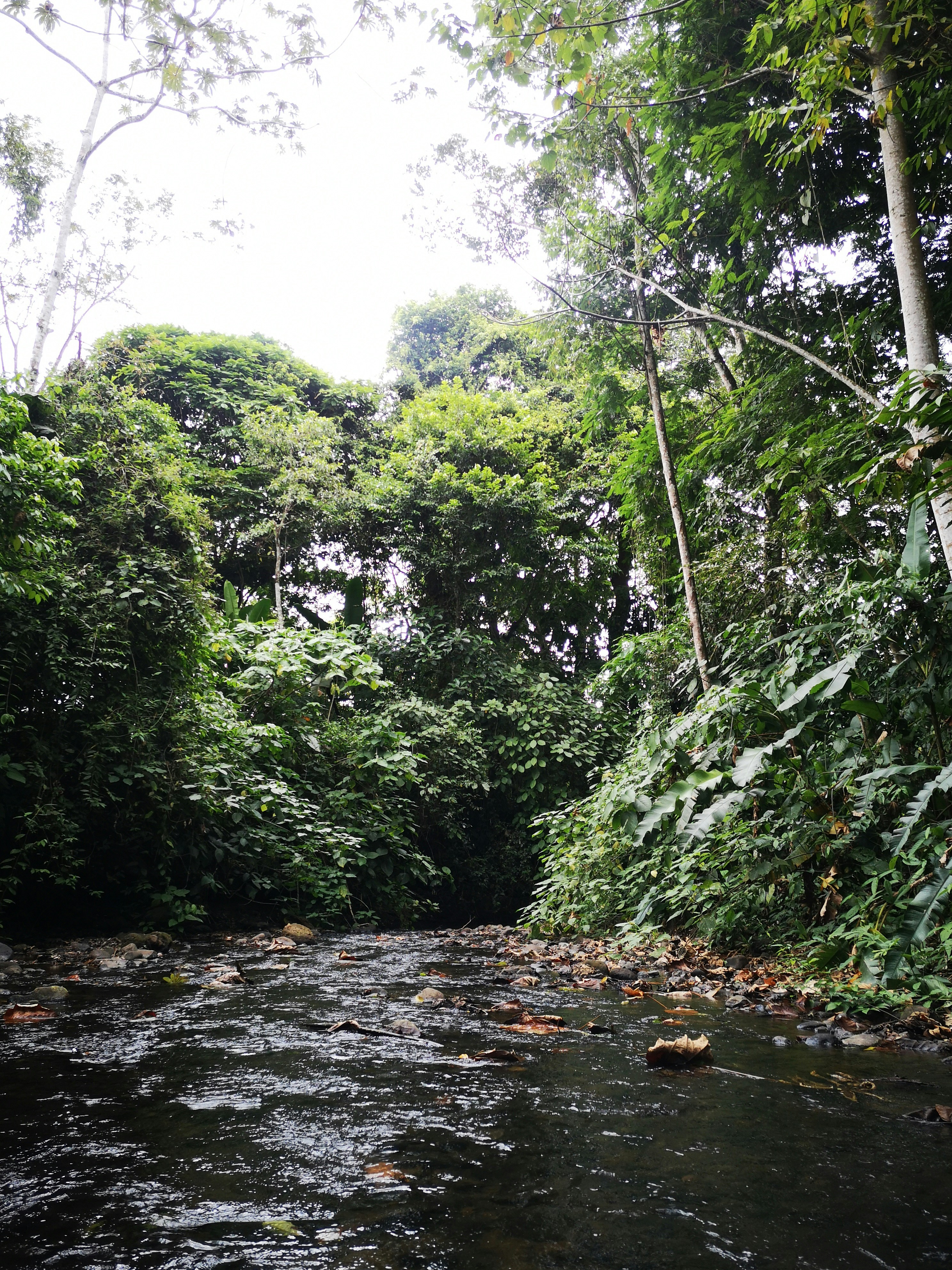 Photo by cookingsurfer