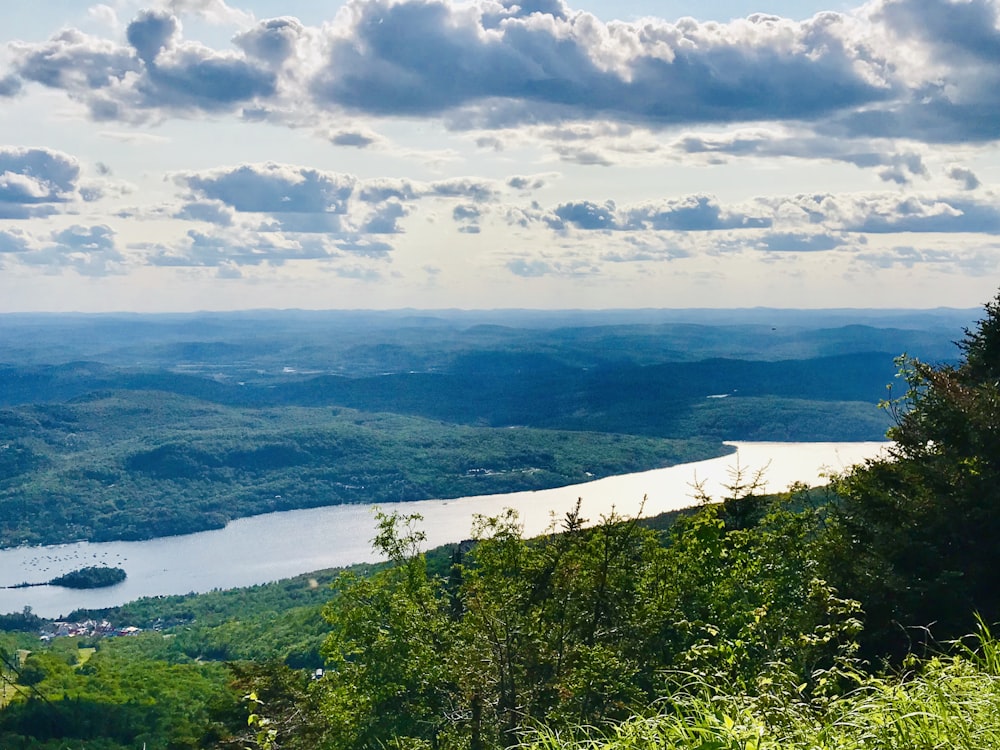 green trees near body of water under white clouds and blue sky during daytime