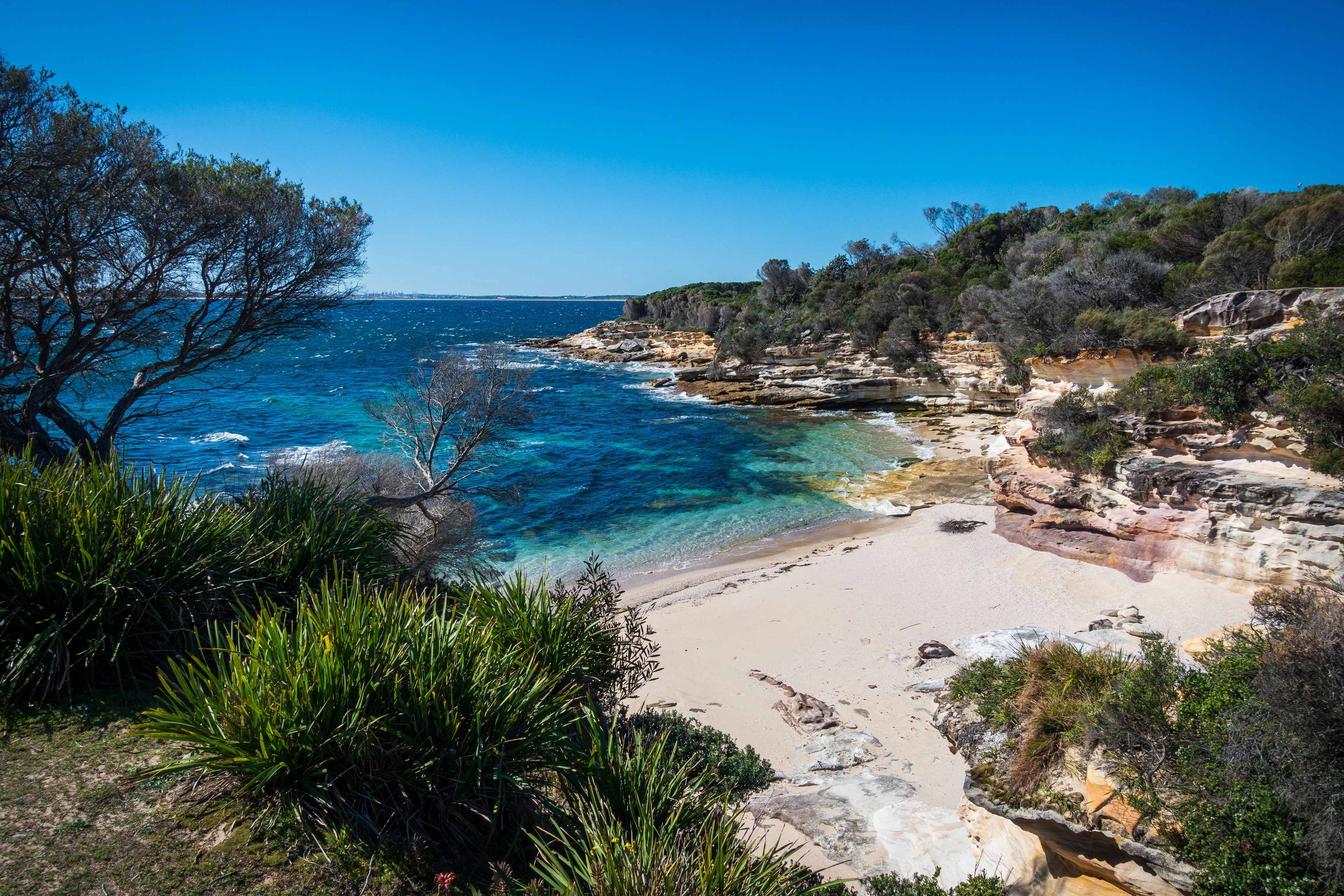 Watsons Bay and South Head, Sydney