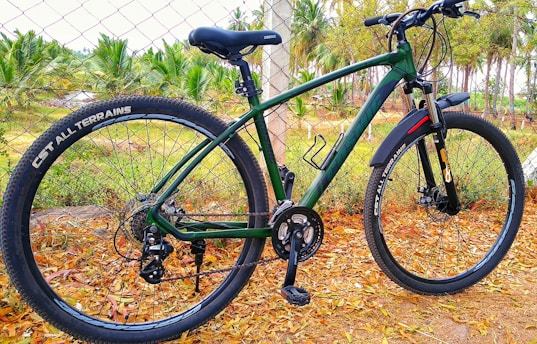 A green mountain bike with black tires featuring the logo 'CST ALL TERRAINS' is parked on a path covered in dry leaves. It is positioned against a chain-link fence, and beyond it, there is a lush landscape with palm trees and greenery.
